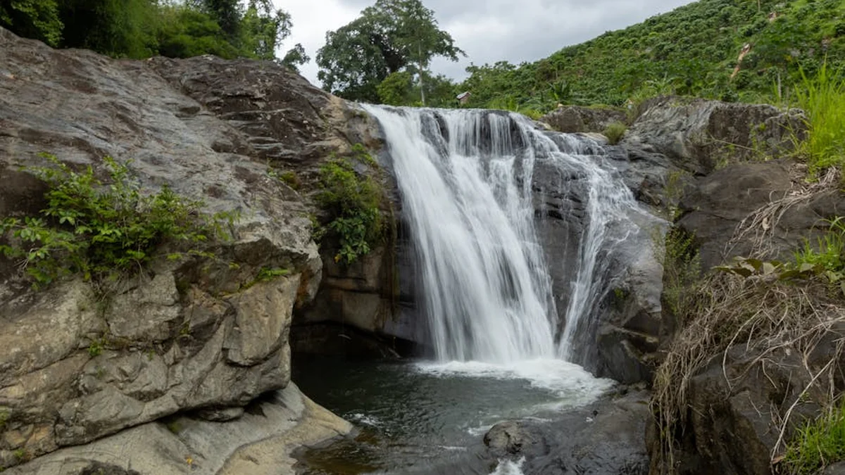 The Eco-adventure at Izvorska Junior with a successful end and new horizons