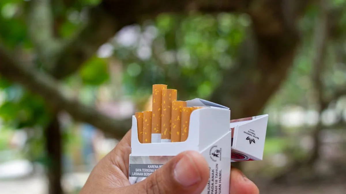 Analysis: Cigarettes are more popular in Macedonia, the prevalence of smoking is a matter of concern