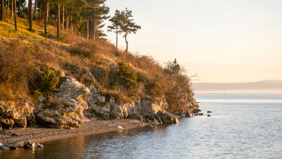Of course, it happened: CLEAN THE BREAKWATER OF THE CHURCH OF CHRIST, AND THAT WILL BE A VOLUNTEER