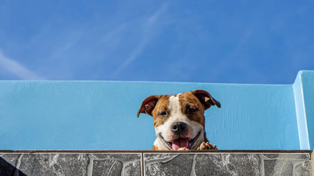 Bred Pit smiled for social networks with a young girl
