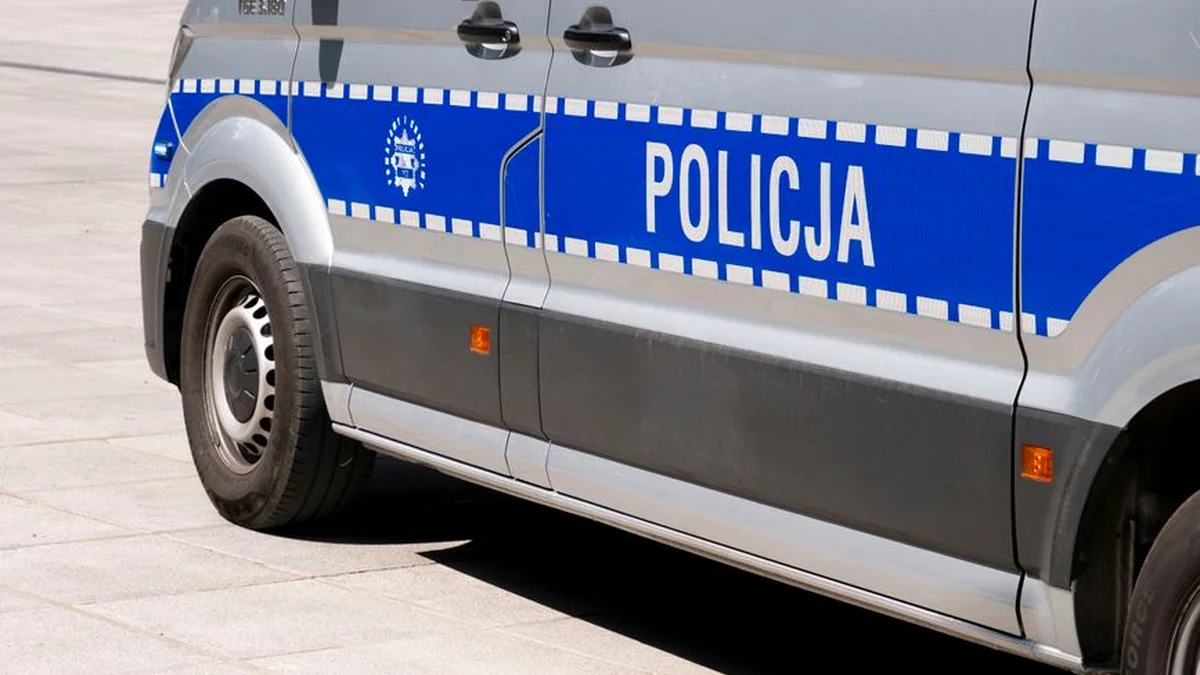 Thomovski: The double-sided signs reduce the abuse of official vehicles by 70%